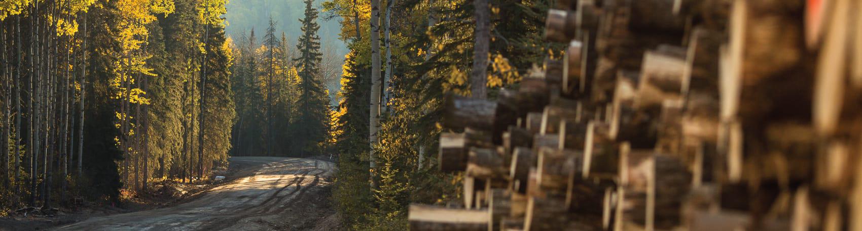 forestry-and-manufacturing-banner.jpg