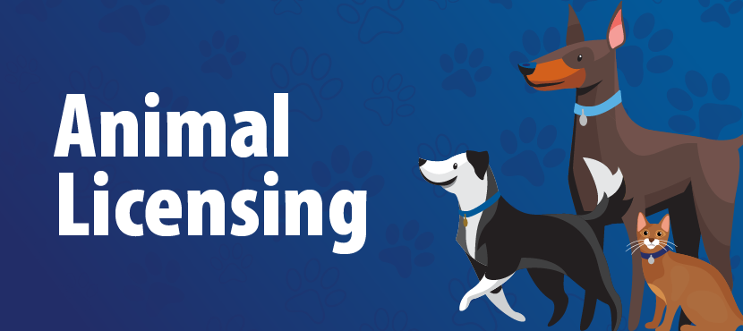 Animal Licensing Information banner for page