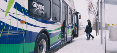 cta-transit_access_program.png cta-transit_access_program.png