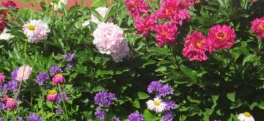 Heritage Gardens - Flowers