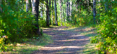 South Bear Creek Walking Trail
