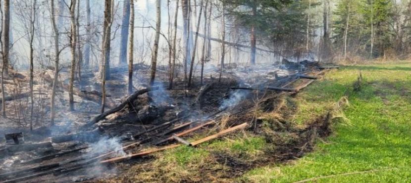 City Fire Ban Webpage information